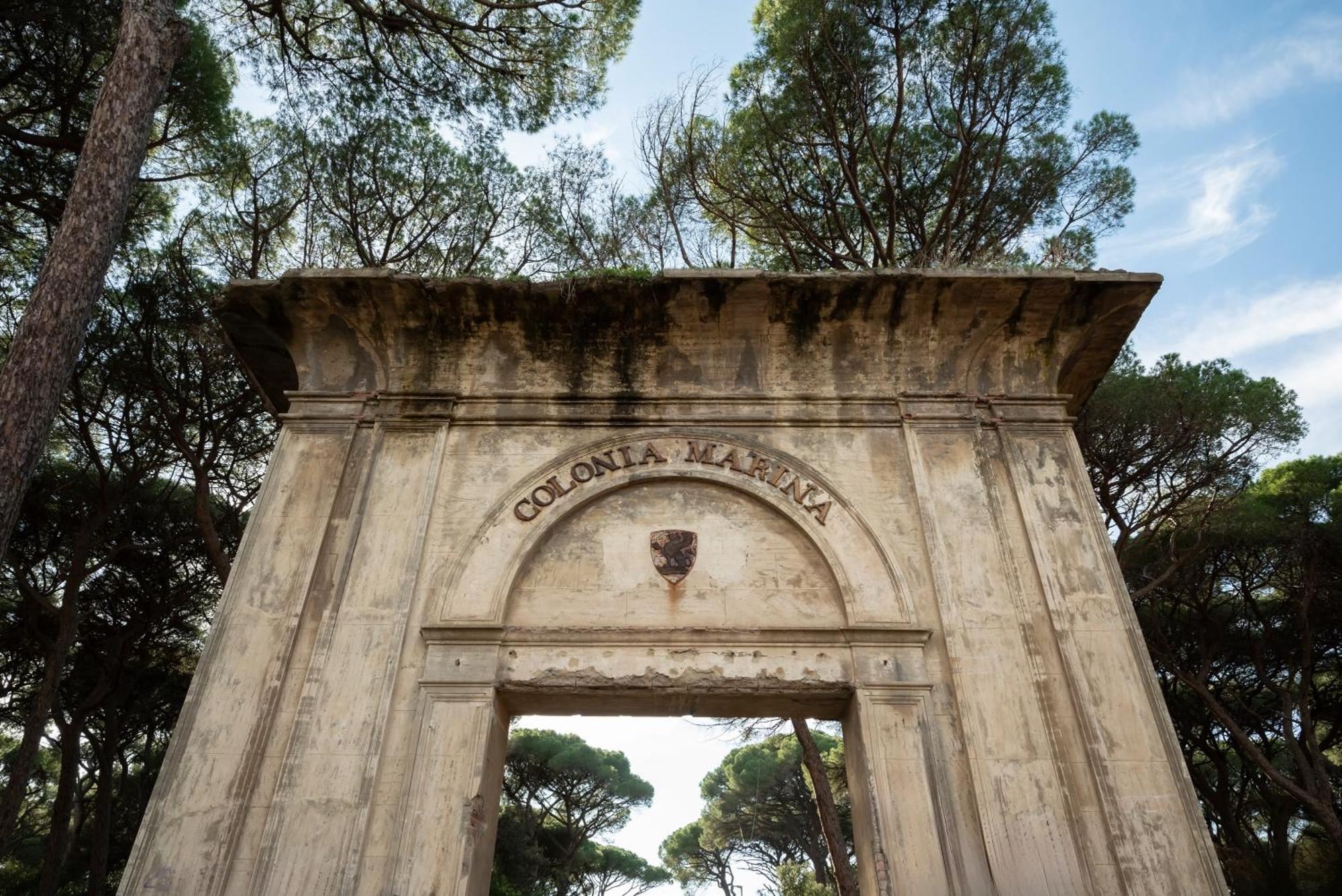 Hotel Parco Dei Pini - 100Mt Dal Mare Follonica Εξωτερικό φωτογραφία